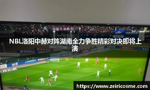 NBL洛阳中赫对阵湖南全力争胜精彩对决即将上演